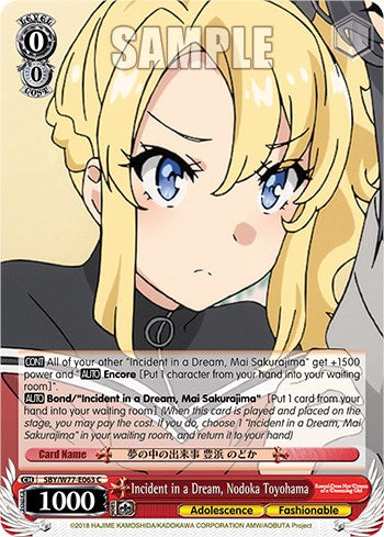 Incident in a Dream, Nodoka Toyohama [Rascal Does Not Dream of a Dreaming Girl]