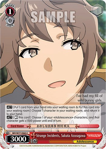 Strange Incidents, Sakuta Azusagawa [Rascal Does Not Dream of a Dreaming Girl]