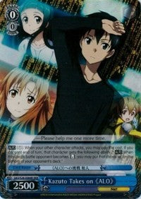 Kazuto Takes on ALO (SAO/S26-E064R RRR) [Sword Art Online Vol.2]