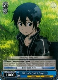 Kirito's Quiet Days (SAO/S20-E089 C) [Sword Art Online]
