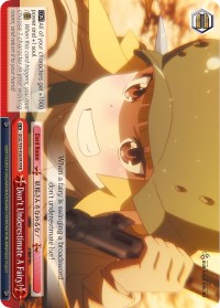 Don't Underestimate A Fairy! (GGO/S59-E065R RRR) [Gun Gale Online]