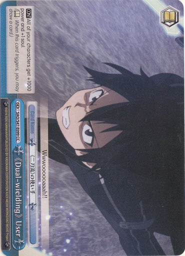 Dual-wielding User (SAO/S47-E099 CC) [Sword Art Online Re: Edit]