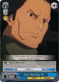 First Meeting, M (GGO/S59-TE17 TD) [Gun Gale Online]