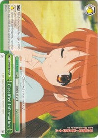 Classified Information (SY/W08-E049 CC) [The Melancholy of Haruhi Suzumiya]