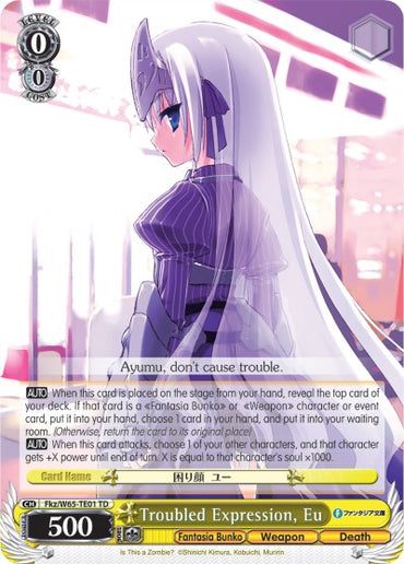 Troubled Expression, Eu (Fkz/W65-TE01 TD) [Fujimi Fantasia Bunko]