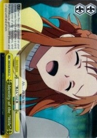 Identity of the "Wife" (SAO/S26-E020 CC) [Sword Art Online Vol.2]