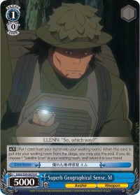 Superb Geographical Sense, M (GGO/S59-E074 R) [Gun Gale Online]