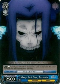 Many, but One, Assassin (FZ/S17-E093 C) [Fate/Zero]